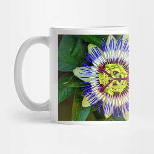 Passion Flower Summer Flowering Plant Mug